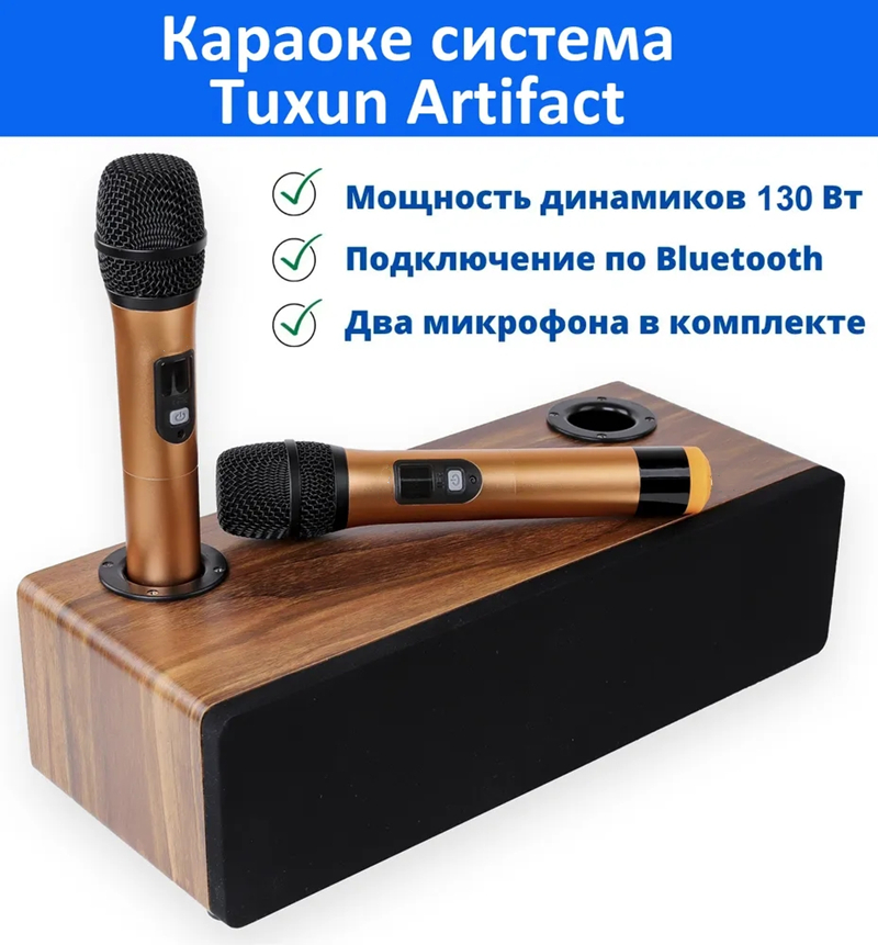 Home Cinema Audio System - 전문 가라오케 무선 마이크 시스템 오디오