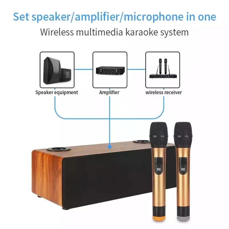 전문 가라오케 무선 마이크 시스템 오디오 세트, UHF - Home Cinema Audio System 리뷰 및 가격
